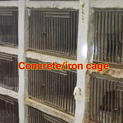 Cement cage